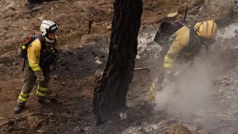 Incendios en España: Última hora hoy, en directo Incendios en España: Última hora hoy, en directo