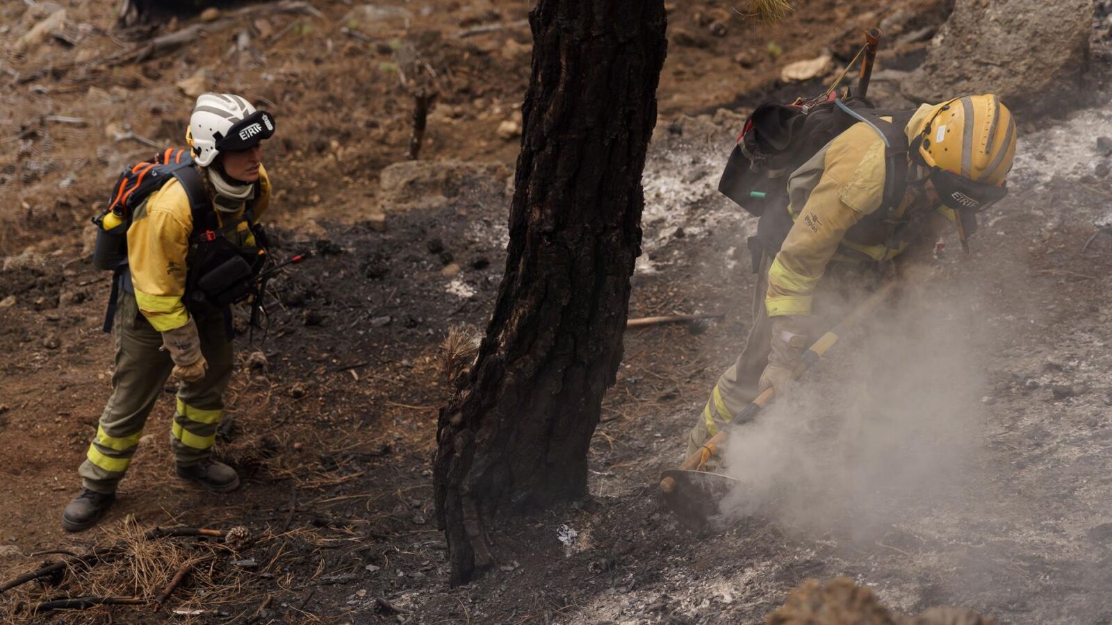 El incendio de Tenerife sigue fuera del control y las llamas han alcanzado el Parque Nacional del Teide