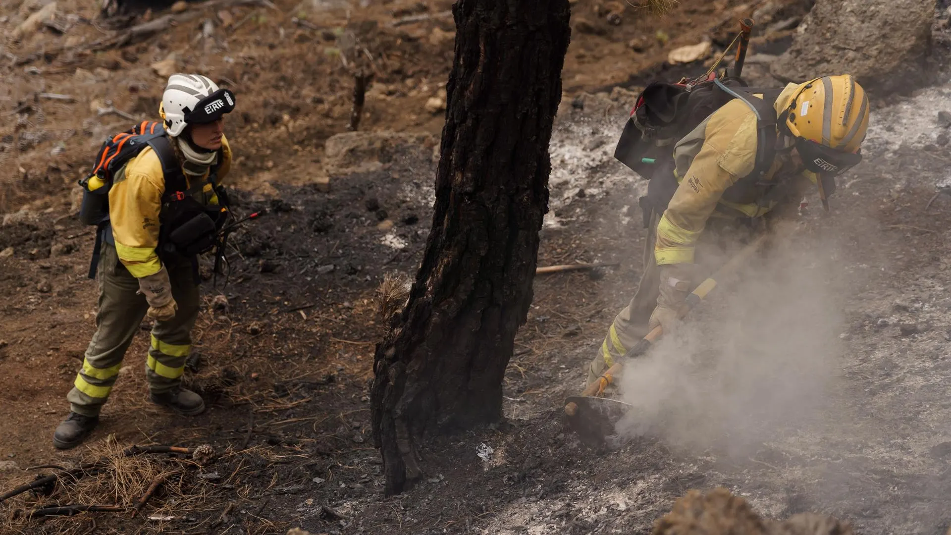 Incendios en España: Última hora hoy, en directo Incendios en España: Última hora hoy, en directo