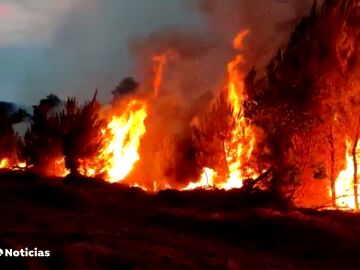 Antes y después incendios