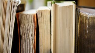 Imagen de archivo de unos libros