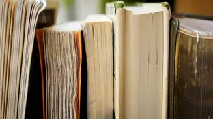 Imagen de archivo de unos libros Imagen de archivo de unos libros