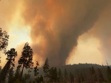 California declara el estado de emergencia por los incendios forestales 