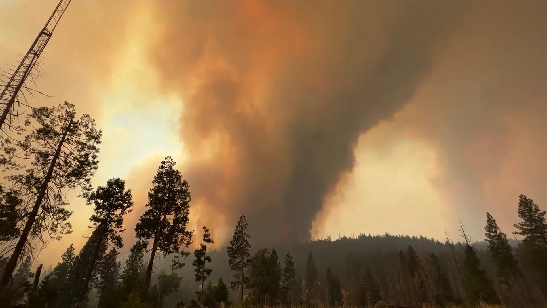 California declara el estado de emergencia por los incendios forestales 