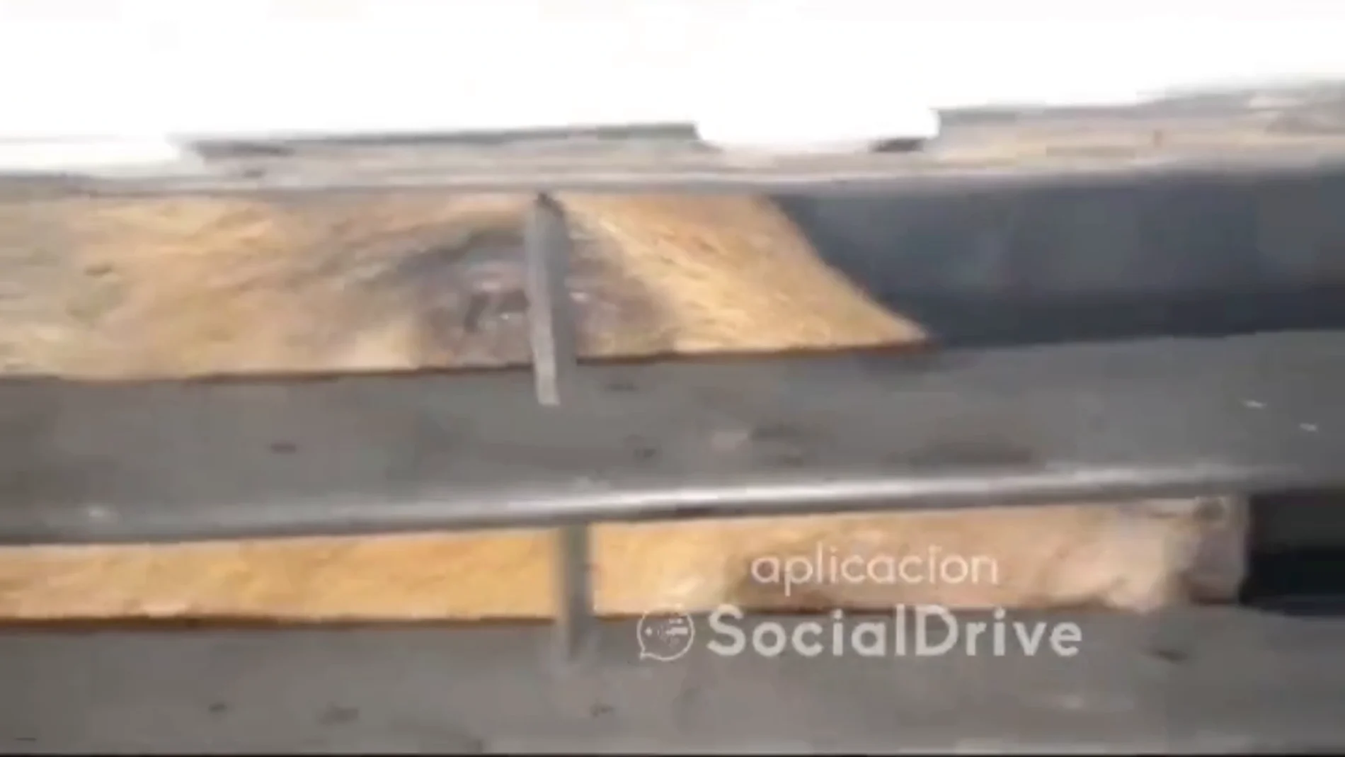 Un jabalí permanece oculto bajo el motor de un coche en Madrid