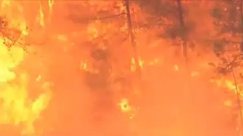 Incendios Turquía Incendios Turquía