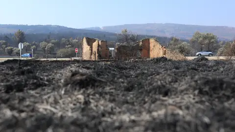 Vista de la zona afectada de San Martín de Tábara (Zamora) Vista de la zona afectada de San Martín de Tábara (Zamora)
