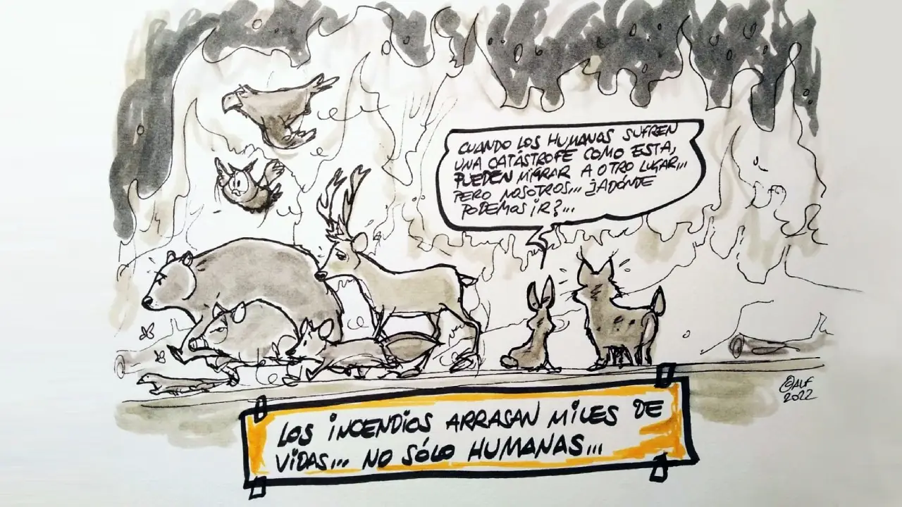 Vi&ntilde;eta gr&aacute;fica de Alfredo Boto hoy. 8 de agosto0