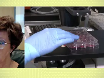 Elena Andradas Elena Andradas