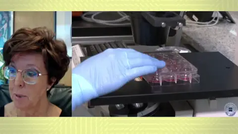 Elena Andradas Elena Andradas