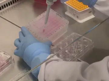 Extractos y pruebas en un laboratorio