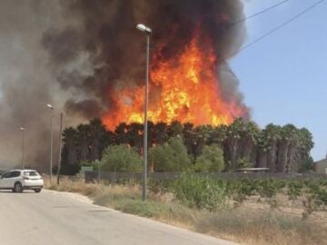 Espectacular incendio en Orihuela, Alicante