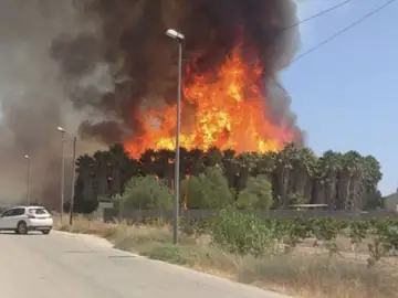 Espectacular incendio en Orihuela, Alicante