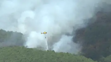 Incendios forestales en España