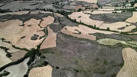 La sequía en Alemania La sequía en Alemania