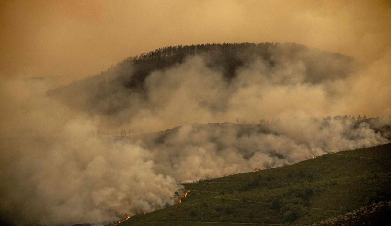 Incendio forestal en Ourense