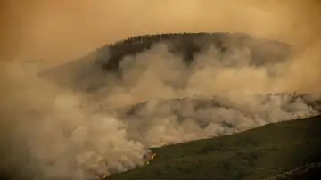 Incendio forestal en Ourense Incendio forestal en Ourense
