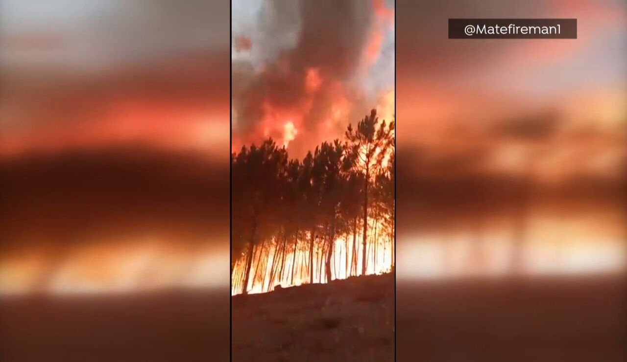 Las llamas de 12 metros del incendio en Sierra de Gata
