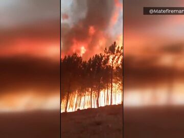 Las llamas de 12 metros del incendio en Sierra de Gata