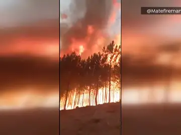 Las llamas de 12 metros del incendio en Sierra de Gata Las llamas de 12 metros del incendio en Sierra de Gata