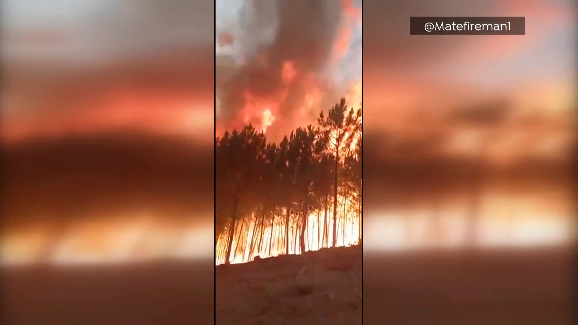 Las llamas de 12 metros del incendio en Sierra de Gata Las llamas de 12 metros del incendio en Sierra de Gata