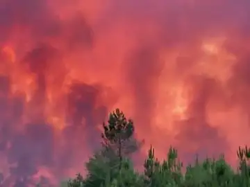 Impactantes imágenes del incendio de Francia Impactantes imágenes del incendio de Francia