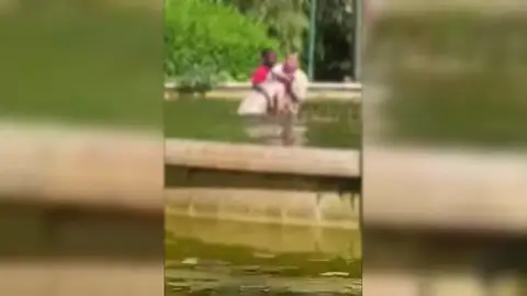 Agresión en una fuente en Valencia Agresión en una fuente en Valencia
