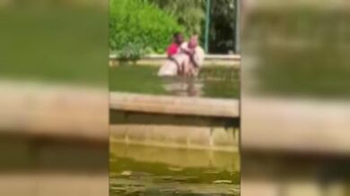 Un móvil, el detonante de la brutal agresión de un hombre a una mujer en una fuente de Valencia