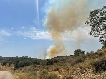 Imagen del incendio forestal declarado en Loporzano (Huesca)