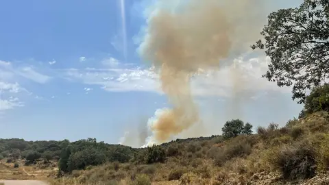 Imagen del incendio forestal declarado en Loporzano (Huesca) Imagen del incendio forestal declarado en Loporzano (Huesca)