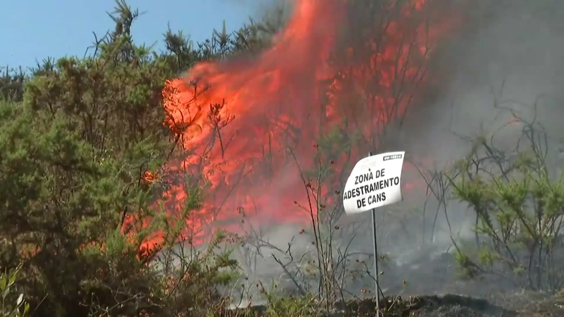 Incendio Incendio