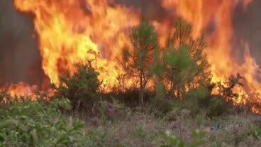 Francia incendios
