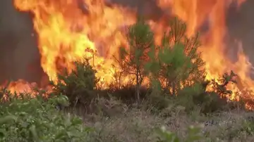Francia incendios Francia incendios