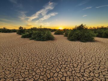 La sequía que azota el planeta