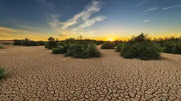 La sequía se intensifica en el mundo