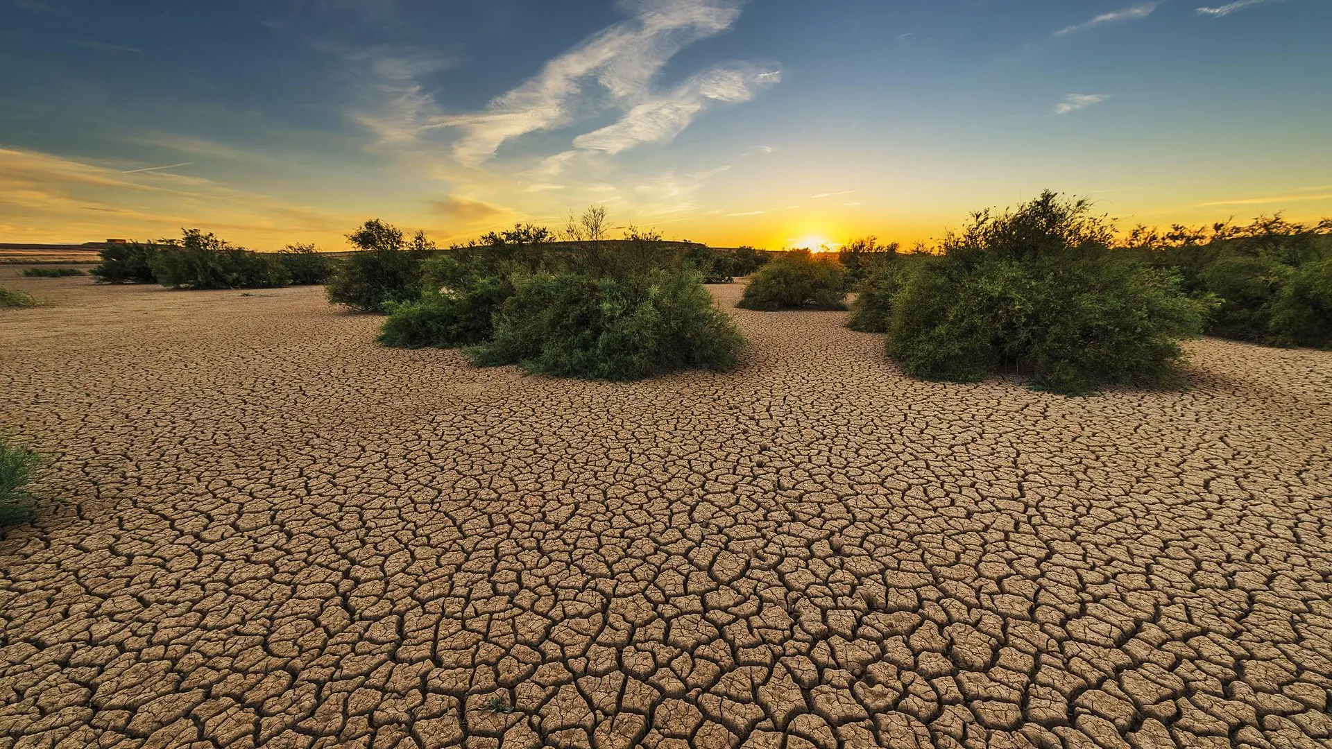La sequ&iacute;a se intensifica en el mundo