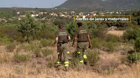 Desbrozar el terreno y la ganaderia, clave para prevenir los incendios Desbrozar el terreno y la ganaderia, clave para prevenir los incendios
