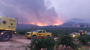 Cien personas trabajan este sábado en la extinción de un incendio forestal iniciado esta madrugada en el paraje La Patoja, en la región murciana de Jumilla, próxima a la comunidad de Castilla-La Mancha.