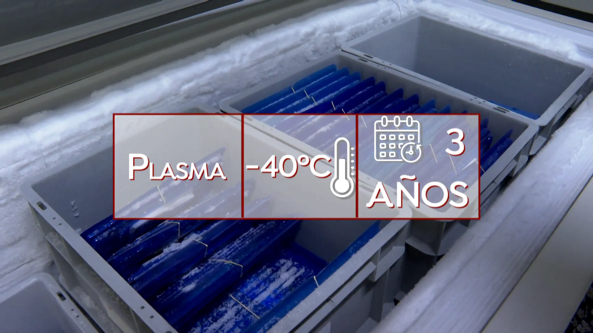 Se necesita donaciones de sangre de forma urgente: cómo donar y requisitos Se necesita donaciones de sangre de forma urgente: cómo donar y requisitos
