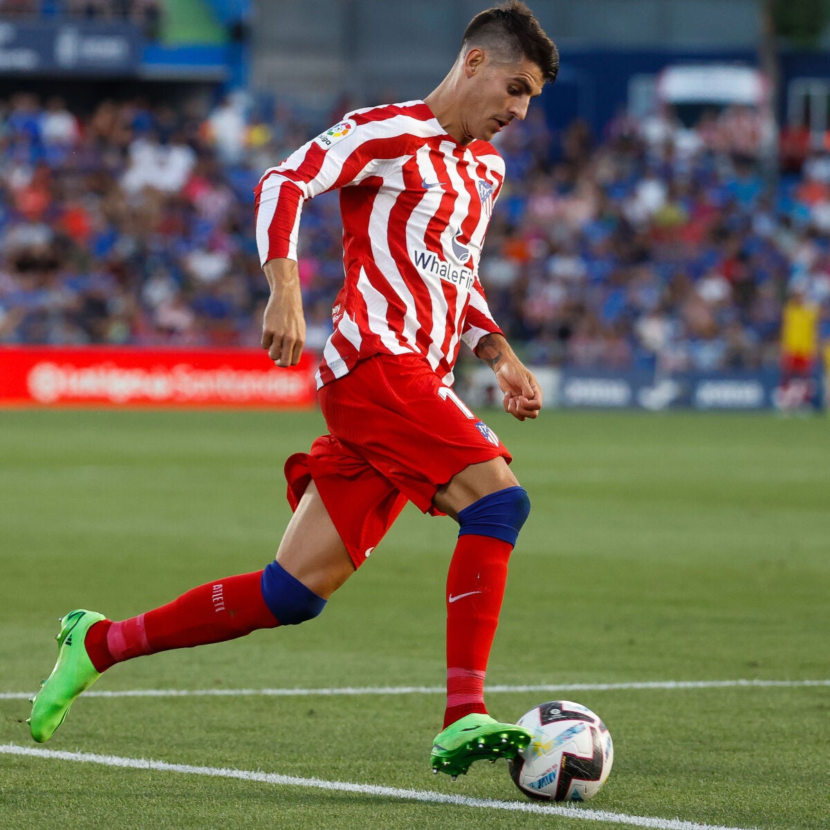 Morata se reivindica sobre el c sped