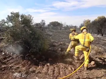 incendio de Añón de Moncayo incendio de Añón de Moncayo