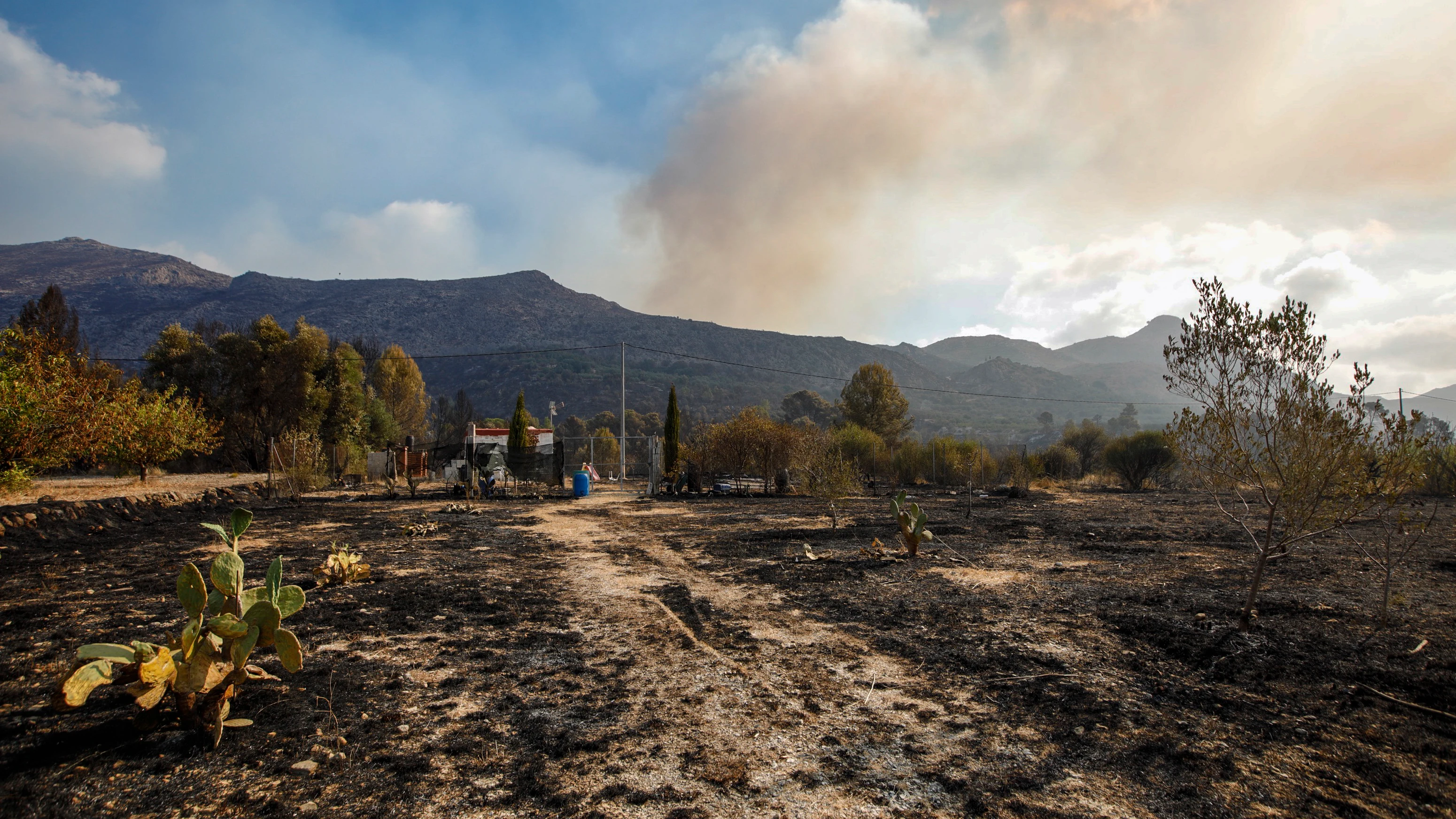Incendio de Vall d&acute;Ebo 