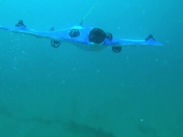 Dron submarino