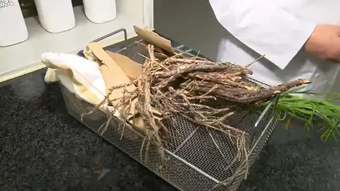 Ramas para hacer combustible Ramas para hacer combustible