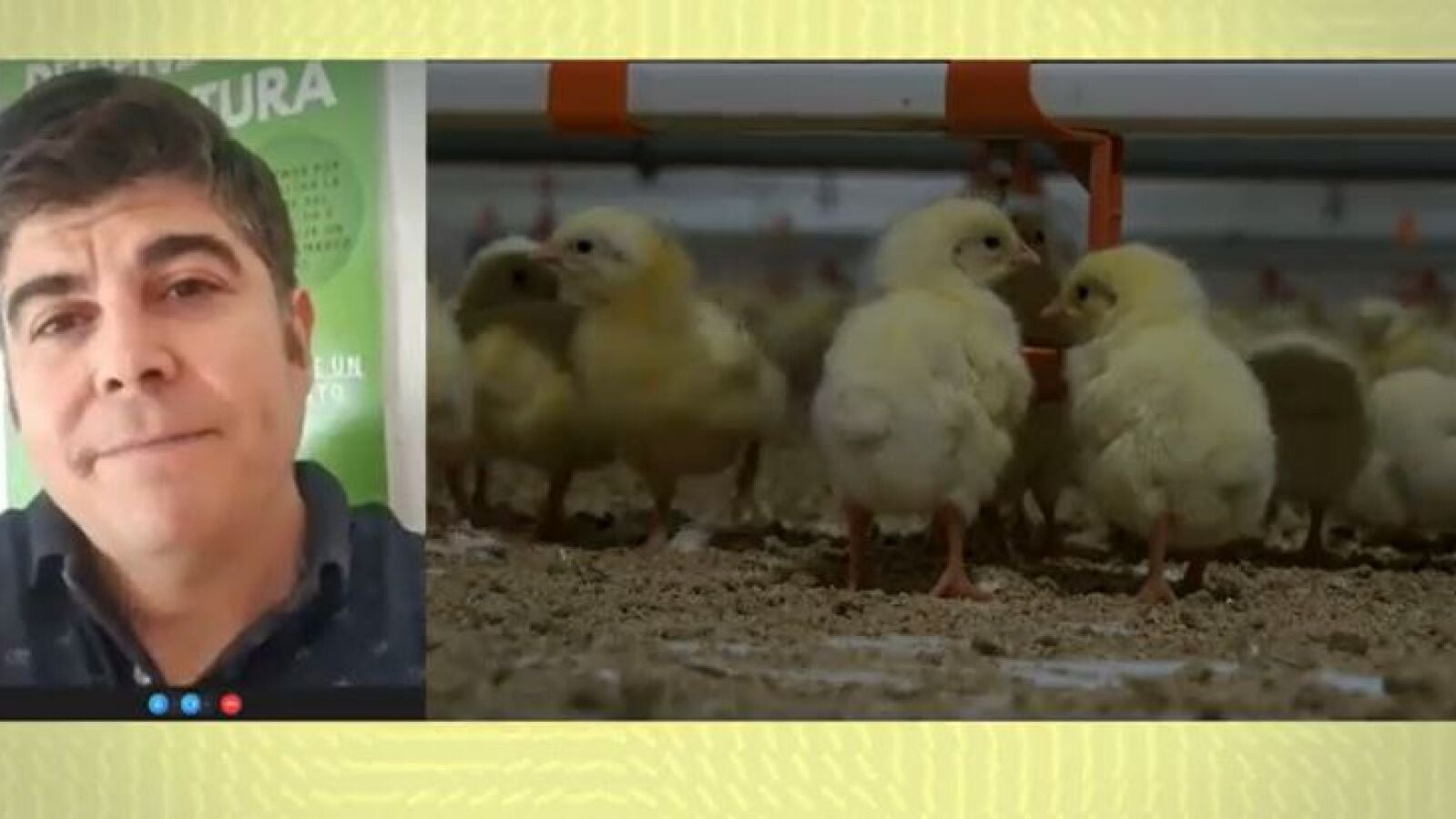 La carne de pollo y pavo, en peligro por la inflación: 