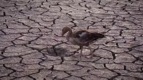 La peor sequía en años La peor sequía en años