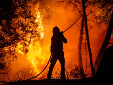 Un bombero forestal combate las llamas