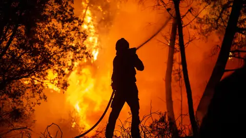 Un bombero forestal combate las llamas Un bombero forestal combate las llamas