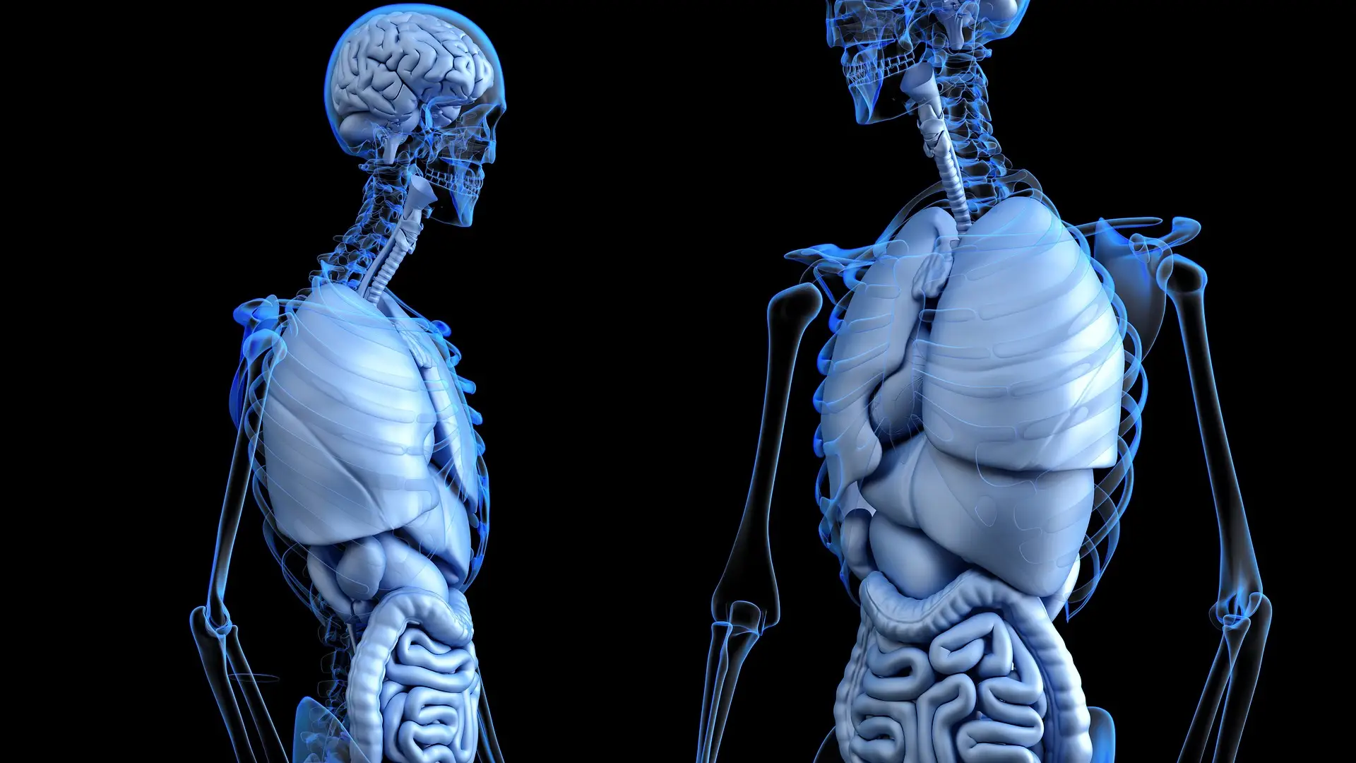 Imagen de dos cuerpos Imagen de dos cuerpos