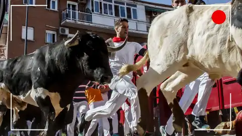Quinto encierro de San Sebastián de los reyes en directo Quinto encierro de San Sebastián de los reyes en directo
